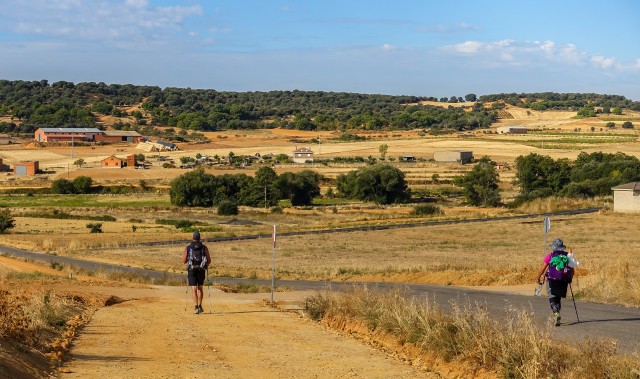 31928390451_fe8d628156_o