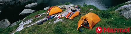 Marmot